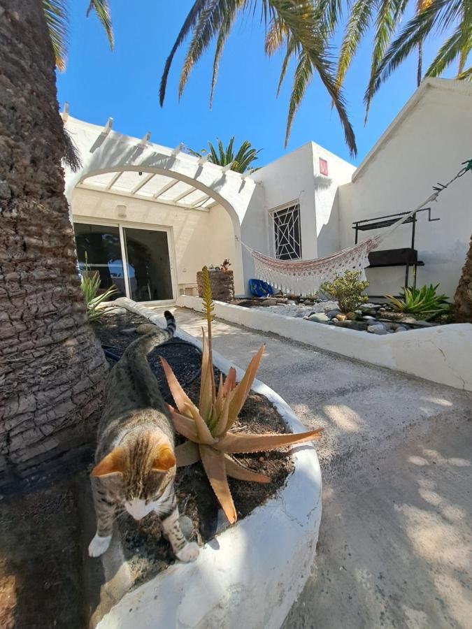 Palm Point Apartman Costa Calma Kültér fotó